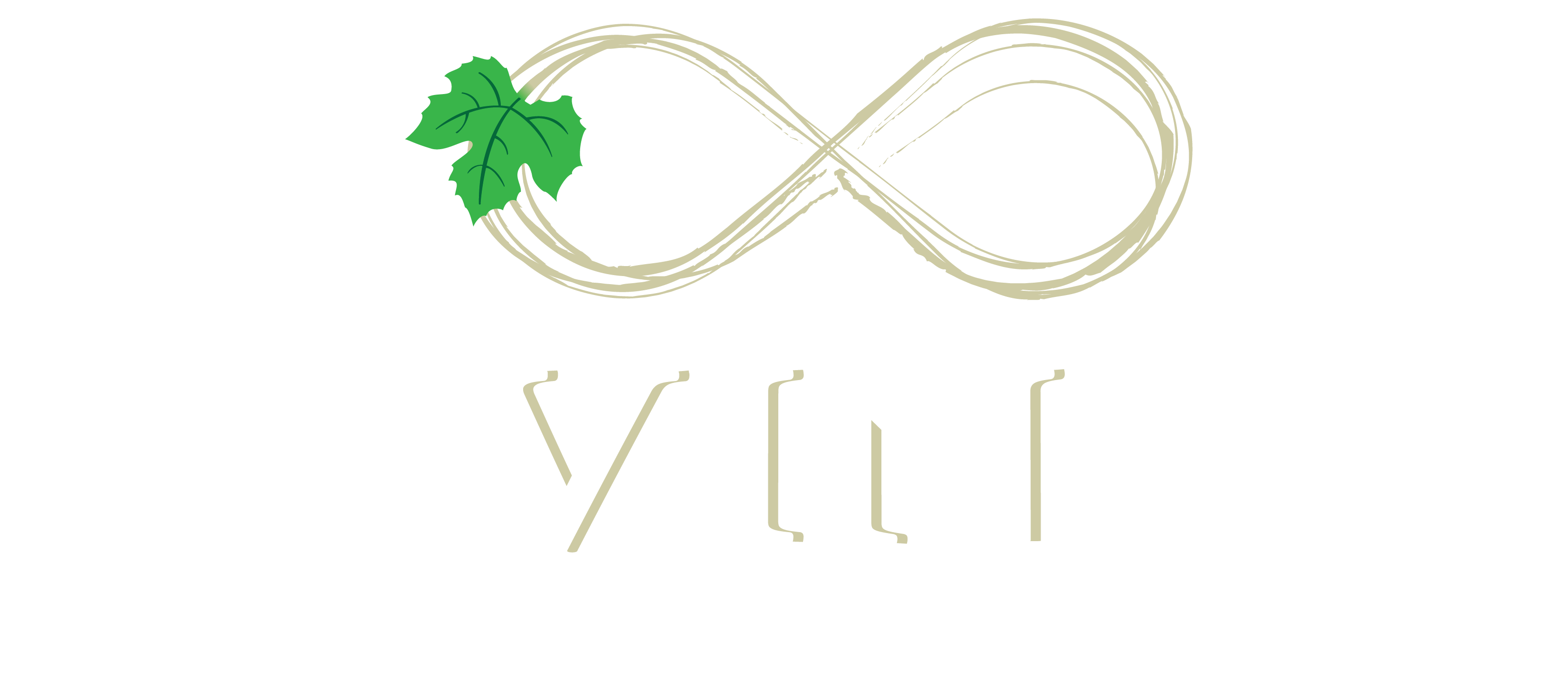 invinity wines v01 Invinity White